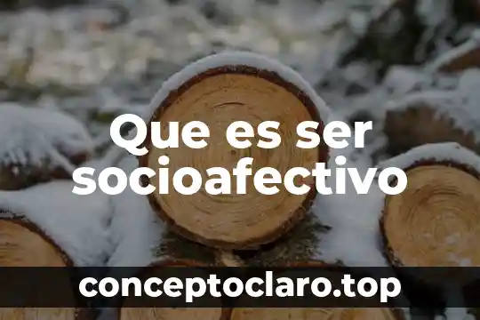 Que es ser socioafectivo