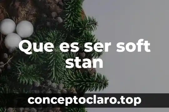 Ser de luz que es 5 Que es ser soft stan
