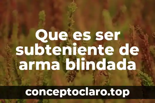 Que es ser subteniente de arma blindada