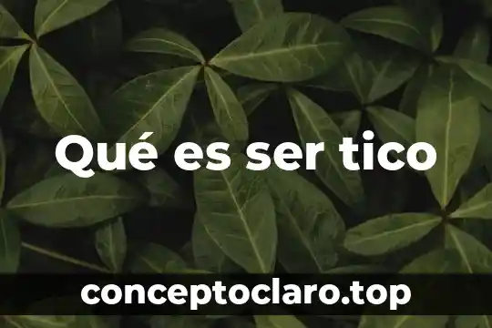 Qué es ser tico