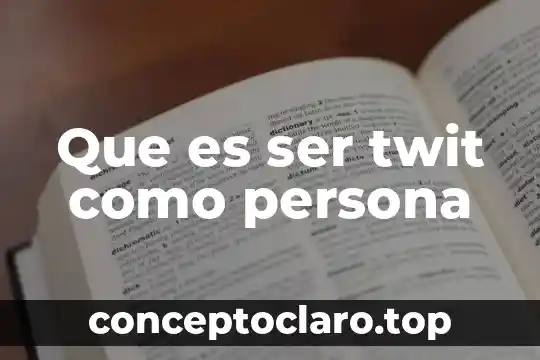 Que es ser twit como persona
