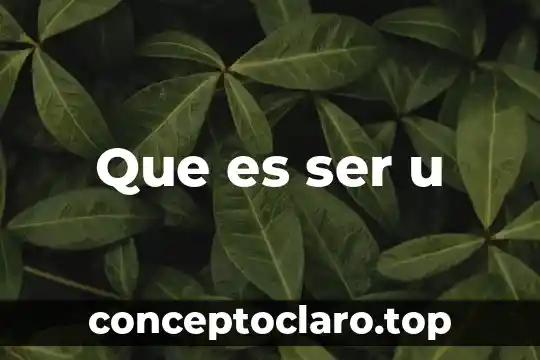 Que es ser u