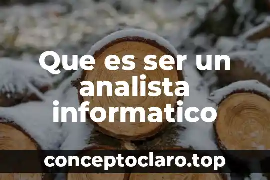 Que es ser un analista informatico