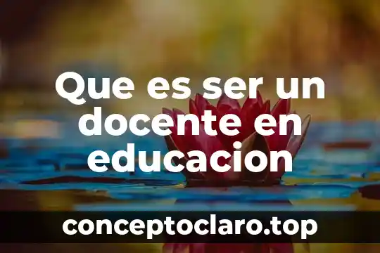 Que es ser un docente en educacion
