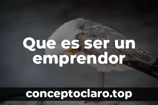 Que es ser una persona gomela 8 Que es ser un emprendor