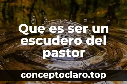 Que es ser un escudero del pastor
