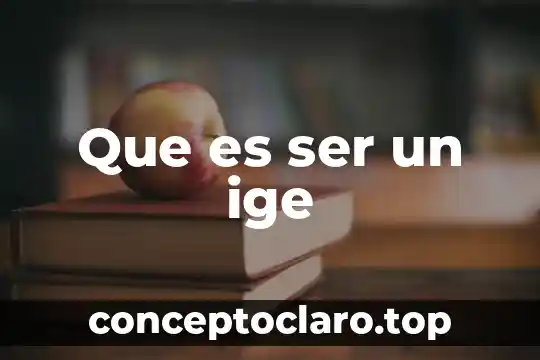 Que es ser un ige