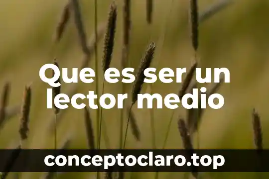 Que es ser un lector medio