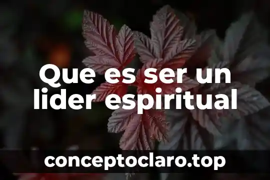 Que es líder planta de amapola para que sirve 4 Que es ser un lider espiritual