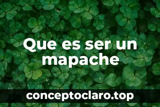 Que es ser de provincia 3 Que es ser un mapache