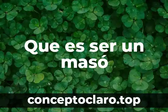Que es ser un masó