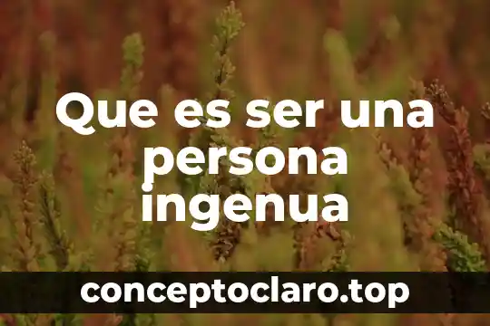Que es significa ser anarquista 3 Que es ser una persona ingenua