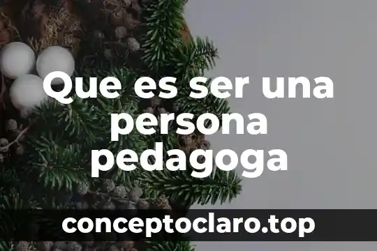 Que es ser una persona pedagoga