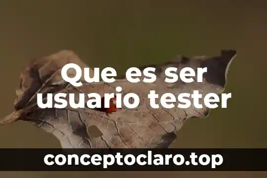 Que es ser usuario tester