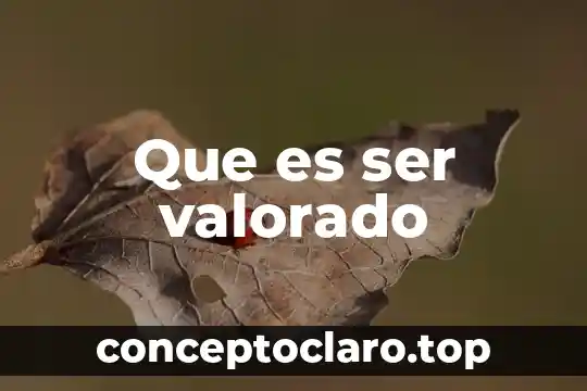 Que es ser valorado