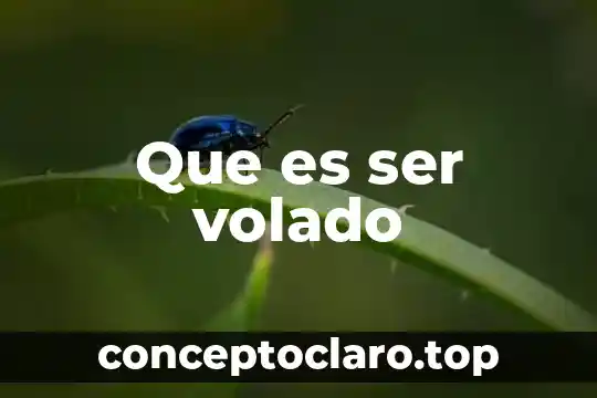 Que es ser volado