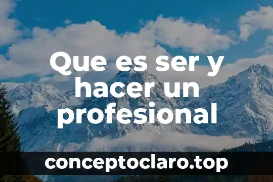 Que es ser y hacer un profesional