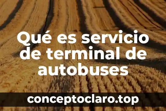 Qué es servicio de terminal de autobuses