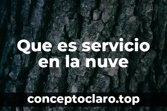 Que es servicio en la nuve