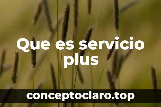 Que es la comision servicio banca internet 3 Que es servicio plus