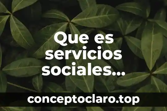 Que es servicios sociales complementarios