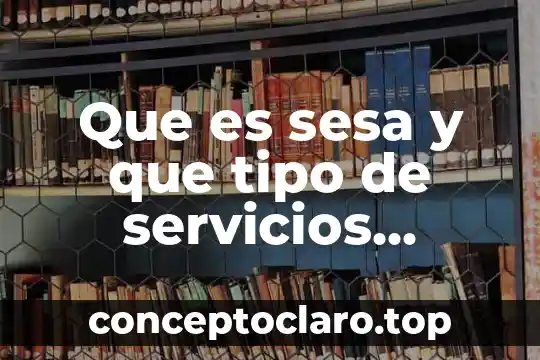 Que es tipo de bolsa escondida chalecos de tela 4 Que es sesa y que tipo de servicios brinda