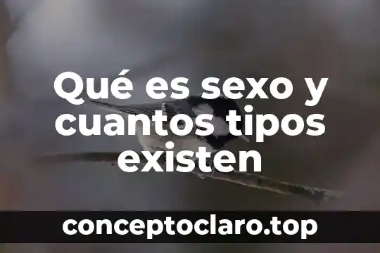 Qué es sexo y cuantos tipos existen