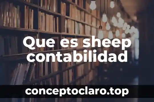 Conclusion sobre que es la contabilidad 7 Que es sheep contabilidad