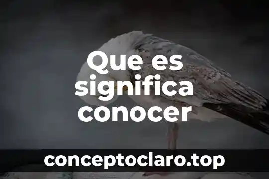 405 Method not allowed put que es 7 Que es significa conocer