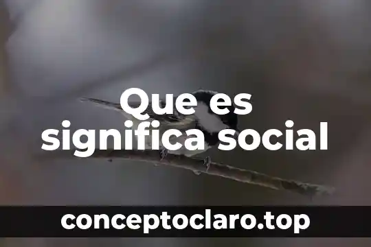 Qué es significa la palabra ipeth 3 Que es significa social