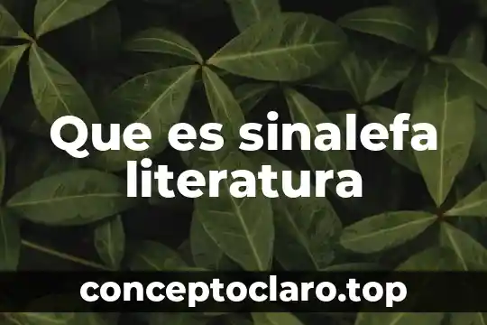 Que es sinalefa literatura