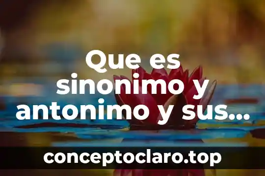 Que es encontrar el significado de palabras utilizando un sinónimo 6 Que es sinonimo y antonimo y sus ejemplos