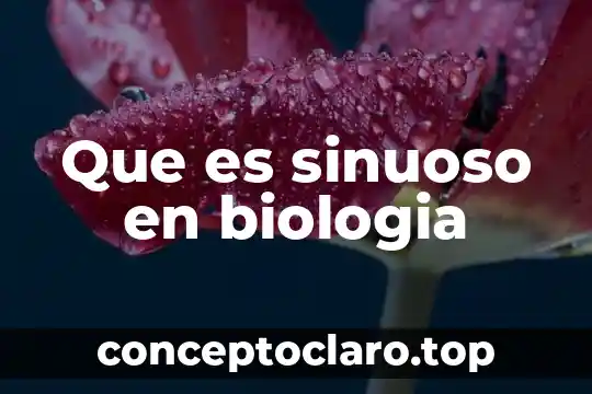 Que es sinuoso en biologia