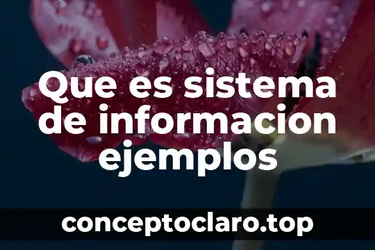 Qué es el símbolo del sistema y para qué sirve 7 Que es sistema de informacion ejemplos