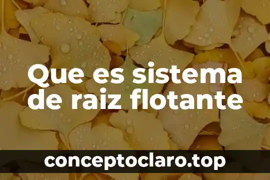 Que es sistema de raiz flotante