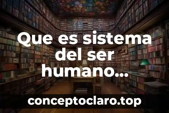 Que es sistema del ser humano producto