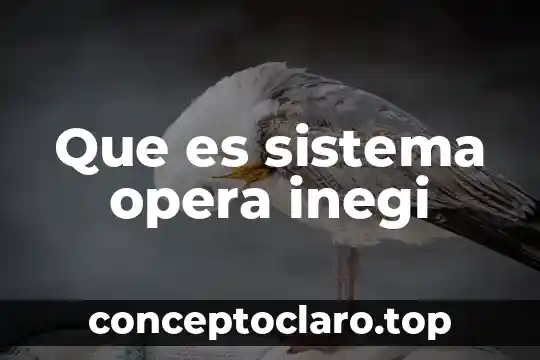 Que es sistema opera inegi