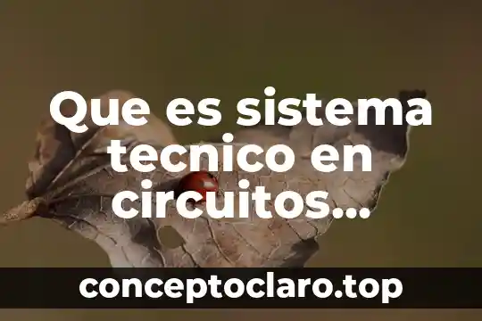 Que es sistema tecnico en circuitos electricos