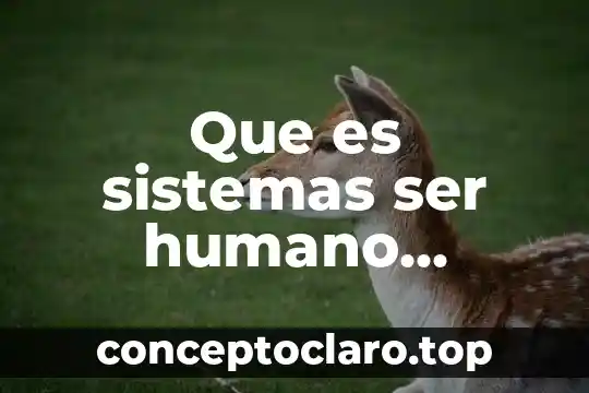 Que es sistemas ser humano productos