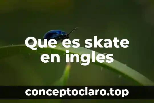Qué es su significado quantifiers en inglés 8 Que es skate en ingles