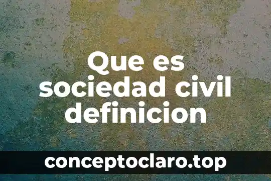 Que es sociedad civil definicion