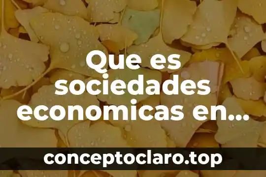Que es ley general de sociedades cooperativas 3 Que es sociedades economicas en administracion