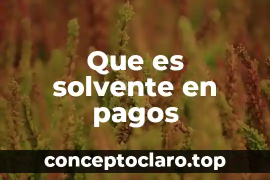 Que es solvente en pagos