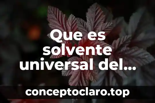 Que es solvente universal del agua