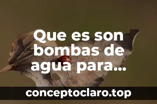 Válvula de agua que es 4 Que es son bombas de agua para perforaciones a bordo