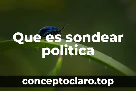 Que es la representación politica 4 Que es sondear politica