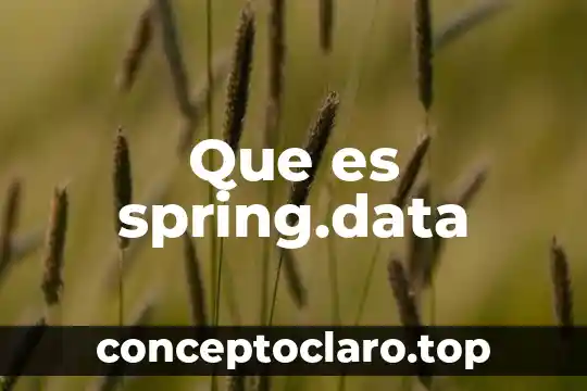 Que es spring.data