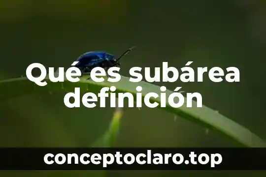 Que es significa la palabra impuras 4 Qué es subárea definición