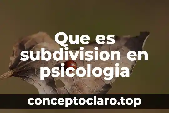 Que es subdivision en psicologia