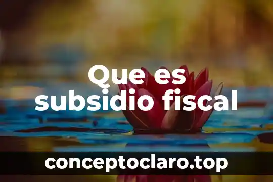 Que es subsidio fiscal
